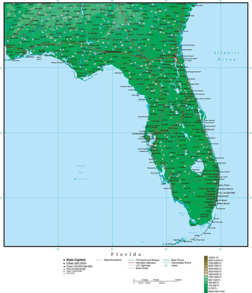 Digital Florida Contour map in Adobe Illustrator vector format FL-USA ...